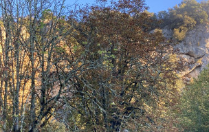 Séjour Lot - jour 3 - Puech Picou