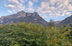 09 - Massif de Tabe depuis les Cabanes - 16/10/2025