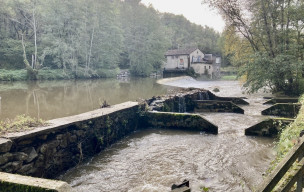 Fête de La Châtaigne - Laguépie - 26/10/2025