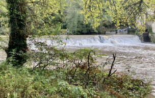 Fête de La Châtaigne - Laguépie - 26/10/2025