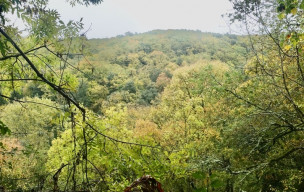 Entre Crieu et Douctouyre - 30/10/2025