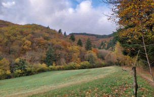 81 - Albine - Roc de Peyremaux - 13/11/2025