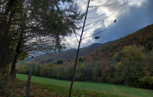 81 - Albine - Roc de Peyremaux - 13/11/2025