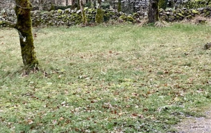 Le CheMain Faisant Concots - 19/02/2026