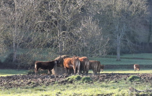 Le piémont haut garonnais de saleich