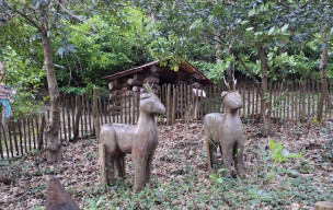 81 - La Passerelle et boucle au sud de Hautpoul -19/03/2026
