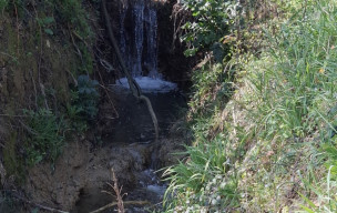 Del blat al molin - Cambiac