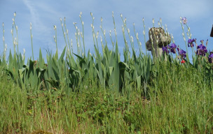 Varaire - Beauregard - 5 photos