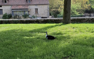 46-Varaire – Beauregard-19/04/2026