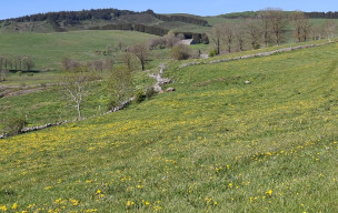 AUBRAC - jour 1 2026