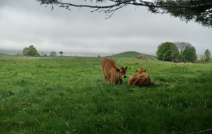 Aubrac - Jour 3 - Cascade du Déroc