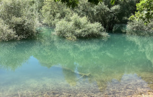 Lac de Montbel