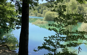 Lac de Montbel