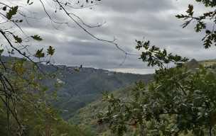 81 - Sentier de la houlette - 11/10/2026