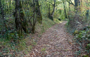 De Causse en Segala - 18/10/2026