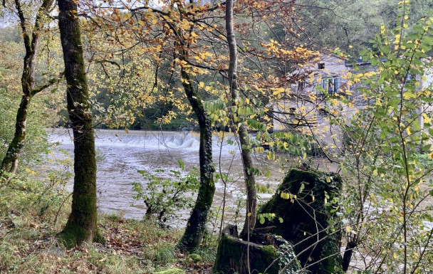 Fête de La Châtaigne - Laguépie - 26/10/2025