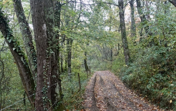 Entre Crieu et Douctouyre - 30/10/2025