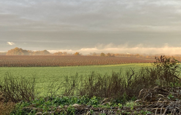 Amarens - Cordes sur Ciel - 04/12/2025