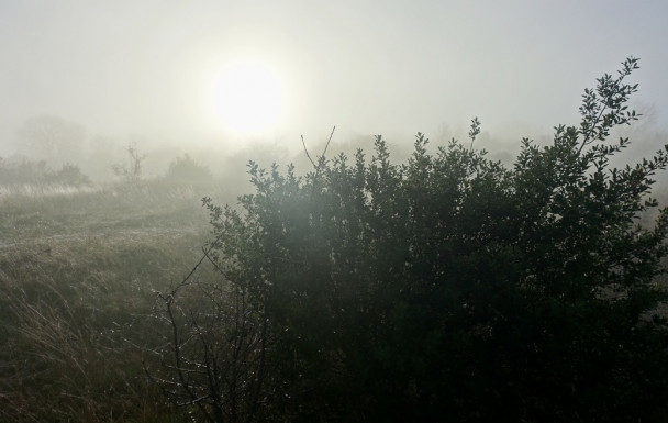 Bruniquel - Pech Tregon - 11/01/2026