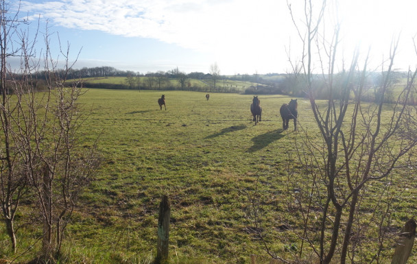Chemin de Labastide Vassal - 29/01/2026