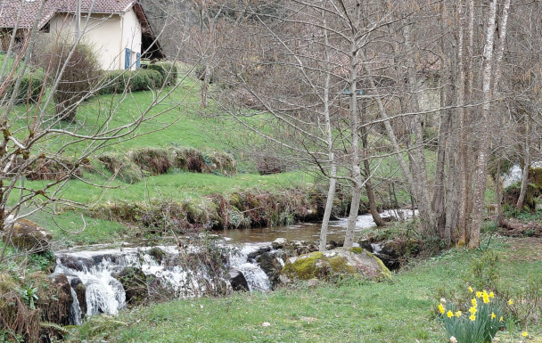 Le Picou depuis Ganac