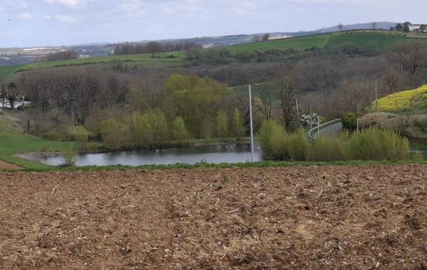 Deux puechs au sud d'Albi
