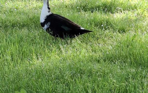 Varaire - Beauregard rando photo