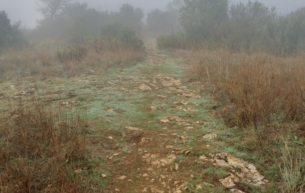 Cirque de Bône - 22/10/2026