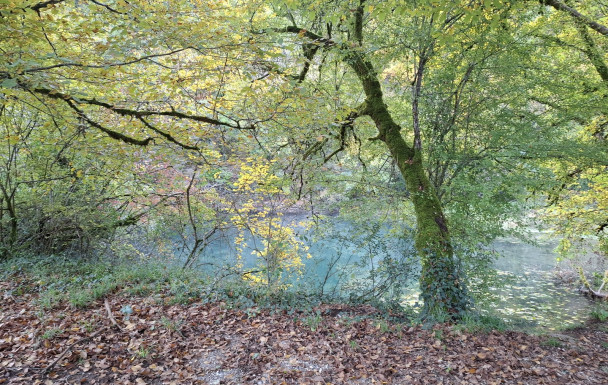 Gouffre de Cabouy - Rocamadour